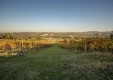 castello-di-tagliolo-monferrato-(4).jpg